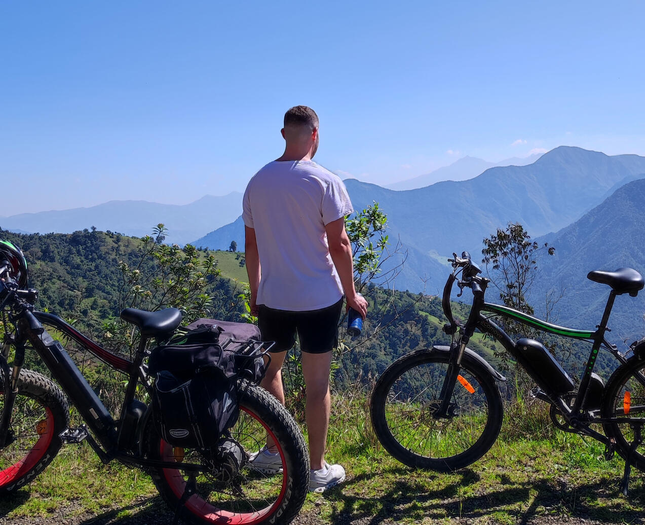 Cloud Forest on a clear morning